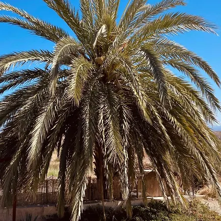 Apartamento El Sueno De Andalucia Huércal-Overa